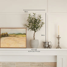 Load image into Gallery viewer, Artificial Olive Topiary Tree with Mediterranean Pot CG Hunter
