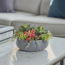 Load image into Gallery viewer, Round Succulent Centerpiece Arrangement
