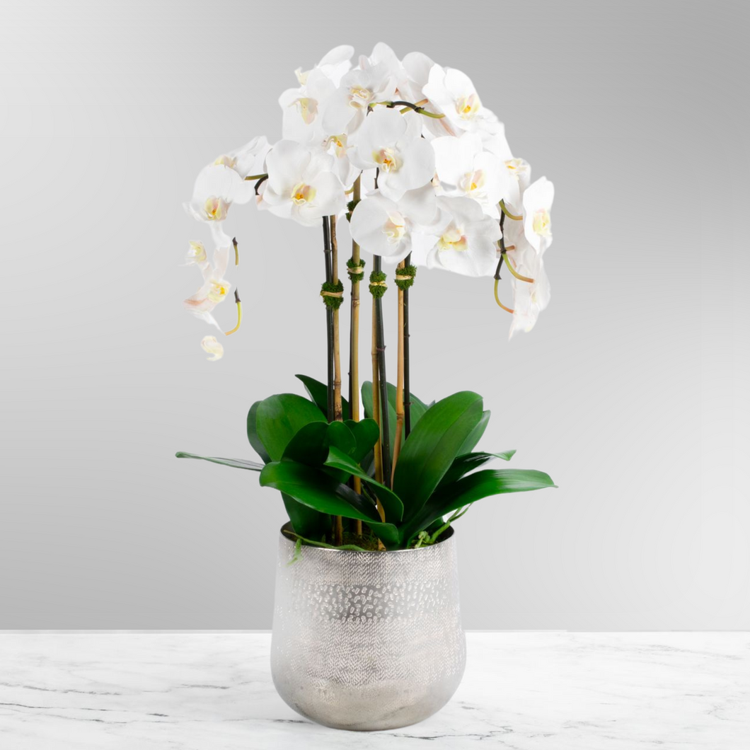 Tall Faux Orchid Arrangement in Vase