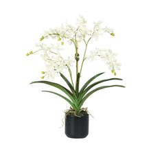 Load image into Gallery viewer, Tropical Faux Orchids in Black Vase – Vivian Rose Shop
