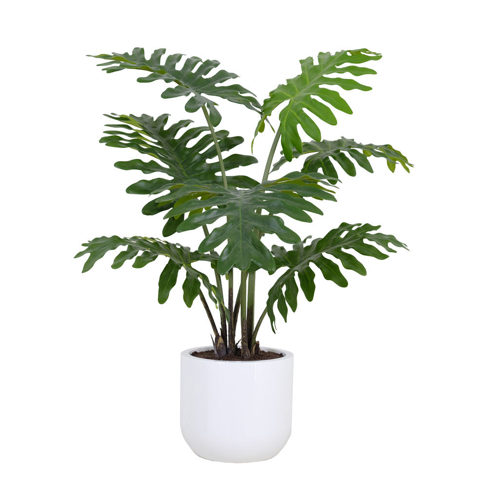 Faux Potted Philodendron Plant, 3 ft
