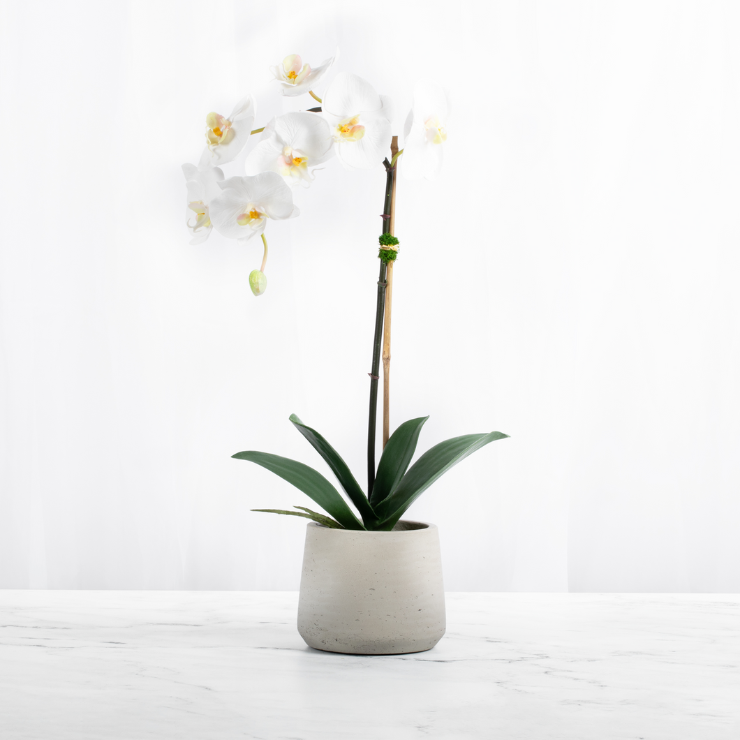 Artificial Orchid Plant White Orchid Plant