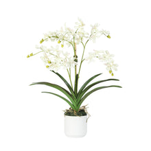 Load image into Gallery viewer, Faux Vanda Orchid Arrangement in White Ceramic Vase – Vivian Rose Shop
