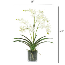 Load image into Gallery viewer, Wild Vanda Orchids in Clear Glass Vase – Vivian Rose Shop
