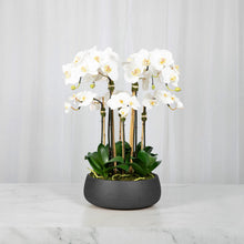 Load image into Gallery viewer, Medium faux white silk orchid centerpiece in matte black planter, 23 inch, Vivian Rose Shop
