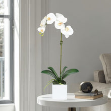 Load image into Gallery viewer, Faux Orchid Plant in Square Vase - 20" Vivian Rose Shop
