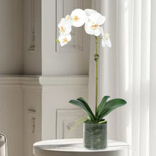 Load image into Gallery viewer, Artificial white orchid plant in clear glass vase, 20 inch-Vivian Rose Shop
