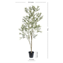 Load image into Gallery viewer, 7' Artificial Wispy Olive Tree CG Hunter
