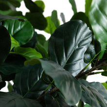 Load image into Gallery viewer, Tall Artificial Fiddle Leaf Fig Tree

