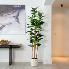 Load image into Gallery viewer, 7’ Artificial Fiddle Leaf Tree in White Planter

