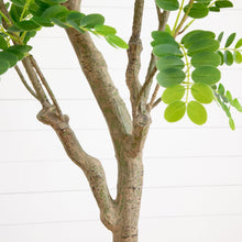 Load image into Gallery viewer, 7.5’ Artificial Greco Locust Citrus Tree in Decorative Planter
