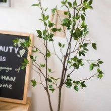 Load image into Gallery viewer, Artificial Green Leaf Faux Tree In Pot RusticReach
