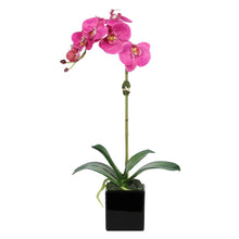 Load image into Gallery viewer, Faux Orchid Plant in Square Vase - 20" Vivian Rose Shop
