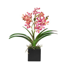 Load image into Gallery viewer, Artificial pink orchids in black square ceramic vase – real touch faux floral | Vivian Rose Shop
