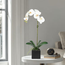 Load image into Gallery viewer, Faux Orchid Plant in Square Vase - 20" Vivian Rose Shop
