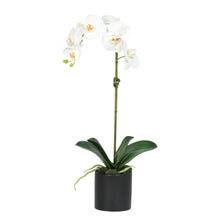 Load image into Gallery viewer, Realistic silk orchid flowers in black vase, no maintenance plant_Vivian Rose Shop
