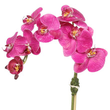 Load image into Gallery viewer, Faux Orchid Plant in Square Vase - 20" Vivian Rose Shop
