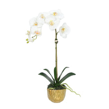 Load image into Gallery viewer, Faux phalaenopsis orchid plant in gold decorative vase, 18 inch
