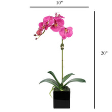Load image into Gallery viewer, Faux Orchid Plant in Square Vase - 20" Vivian Rose Shop
