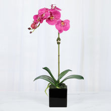 Load image into Gallery viewer, Faux Orchid Plant in Square Vase - 20" Vivian Rose Shop
