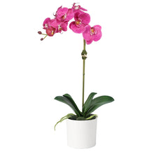 Load image into Gallery viewer, Faux Pink Orchid Plant in White Vase - 20" Vivian Rose Shop
