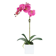 Load image into Gallery viewer, Faux Orchid Plant in Square Vase - 20" Vivian Rose Shop
