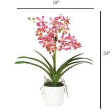 Load image into Gallery viewer, Artificial pink Vanda orchids in white cylinder ceramic vase – silk orchid plant | Vivian Rose Shop
