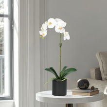 Load image into Gallery viewer, Artificial orchid plant side view, 20 inch tall with vase_ Vivian Rose Shop
