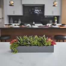 Load image into Gallery viewer, Rectangular Artificial Succulent Arrangement, Gray Planter CG Hunter
