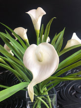 Load image into Gallery viewer, real touch calla lilies

