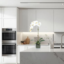 Load image into Gallery viewer, Faux Orchid Plant in Square Vase - 20" Vivian Rose Shop
