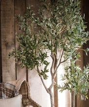 Load image into Gallery viewer, Large Artificial Olive Tree 94" Tall In Pot RusticReach
