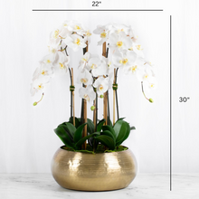 Load image into Gallery viewer, floral home decor Large Orchid Centerpiece Arrangement in Gold Vase 
