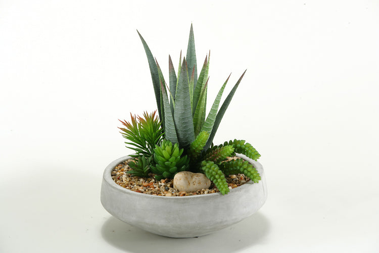 Artificial Mixed Succulents in Contemporary Planter  Vivian Rose Shop