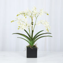 Load image into Gallery viewer, Modern Faux Orchid Arrangement in Black Vase – Vivian Rose Shop
