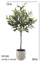 Load image into Gallery viewer, Faux Olive Tree - 29 in Vivian Rose Shop
