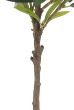 Load image into Gallery viewer, Faux Olive Tree - 29 in Vivian Rose Shop
