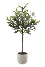 Load image into Gallery viewer, Faux Olive Tree - 29 in Vivian Rose Shop
