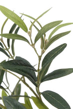Load image into Gallery viewer, Faux Olive Tree - 29 in Vivian Rose Shop

