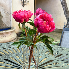 Load image into Gallery viewer, silk peony flower arrangement
