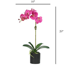Load image into Gallery viewer, Pink faux orchid arrangement in black vase- 20" Vivian Rose Shop
