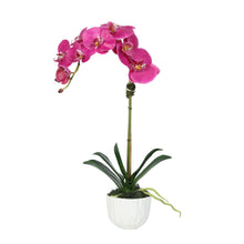 Load image into Gallery viewer, Pink artificial orchid arrangement in white vase with preserved moss
