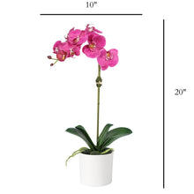 Load image into Gallery viewer, Pink Orchid Arrangement in White Pot - 20" Vivian Rose Shop
