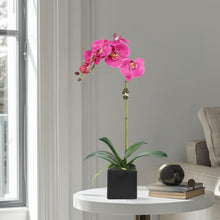 Load image into Gallery viewer, Faux Orchid Plant in Square Vase - 20" Vivian Rose Shop
