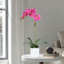 Load image into Gallery viewer, Faux Orchid Plant in Square Vase - 20" Vivian Rose Shop
