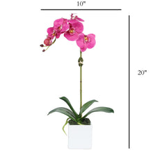 Load image into Gallery viewer, Faux Orchid Plant in Square Vase - 20" Vivian Rose Shop
