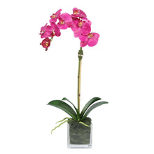 Load image into Gallery viewer, Faux Orchid Plant in Square Vase - 20" Vivian Rose Shop
