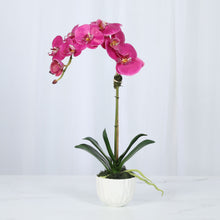 Load image into Gallery viewer, Pink faux orchid plant in white decorative vase – real touch phalaenopsis
