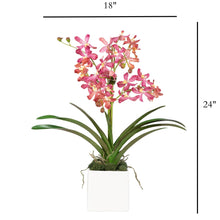 Load image into Gallery viewer, Silk pink Vanda orchid arrangement in white ceramic vase – luxury home decor | Vivian Rose Shop
