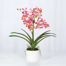 Load image into Gallery viewer, Pink Vanda orchid arrangement in white cylinder vase – luxury faux orchid | Vivian Rose Shop
